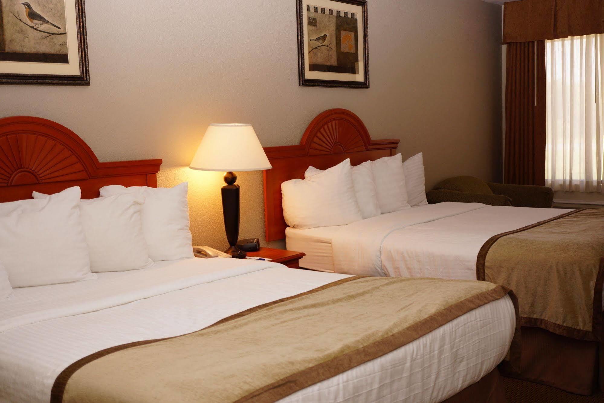 Best Western Isabelle Court Galliano Esterno foto